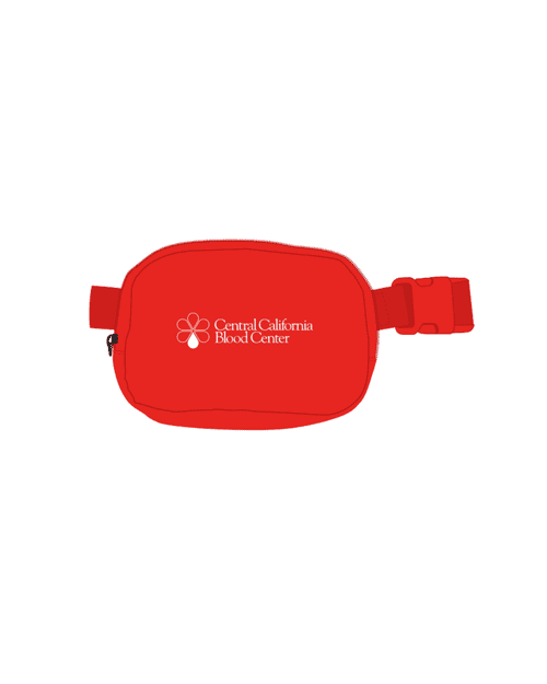 CCBC Belt Bag